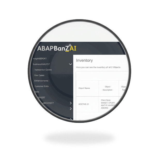 classify your SAP Z code